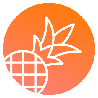 Embed forms on Pineapple